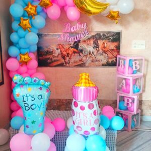 Baby Shower Balloon Arch