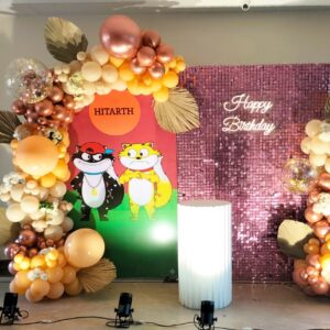 Luxury Birthday Balloon Decoration in Jaipur